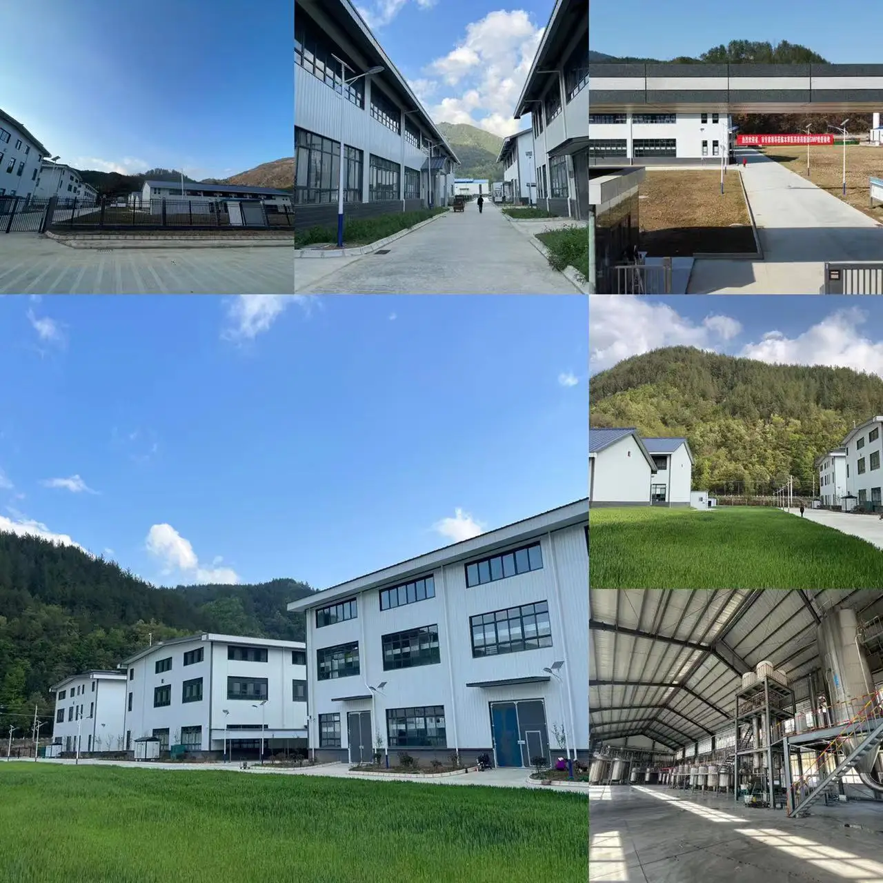 Carbopol 996 Carbomer 996 Powder Natural Cosmetics Raw Materials CAS 9003-01-4 1