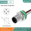 M12-A-4P male PG9