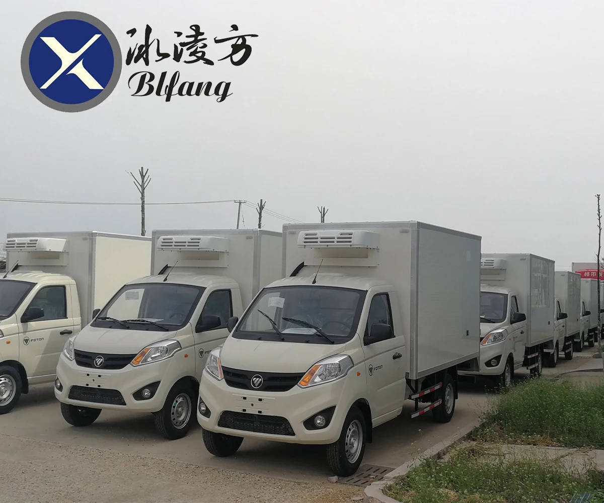 Foton 4x2 1T Mini Refrigerator Truck Customization Transport Vegetable Freezer Small Refrigerated Truck for Sale