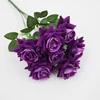 Rose d'angle - Violet