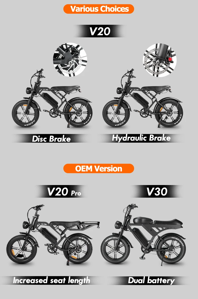 Winter Sales V20 Electric Bicycle 750w 20inch Fat Tire Ebike Cheap