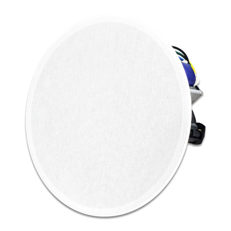 Passive Ceiling Speaker System Ceiling Speaker Bluetooth Wireless With