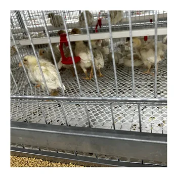 Good Price Pullet Cage Manufacturer Automatic Chicken Baby Chicks Feeding Battery Cages Multifunctional Provided Chicken Brooder