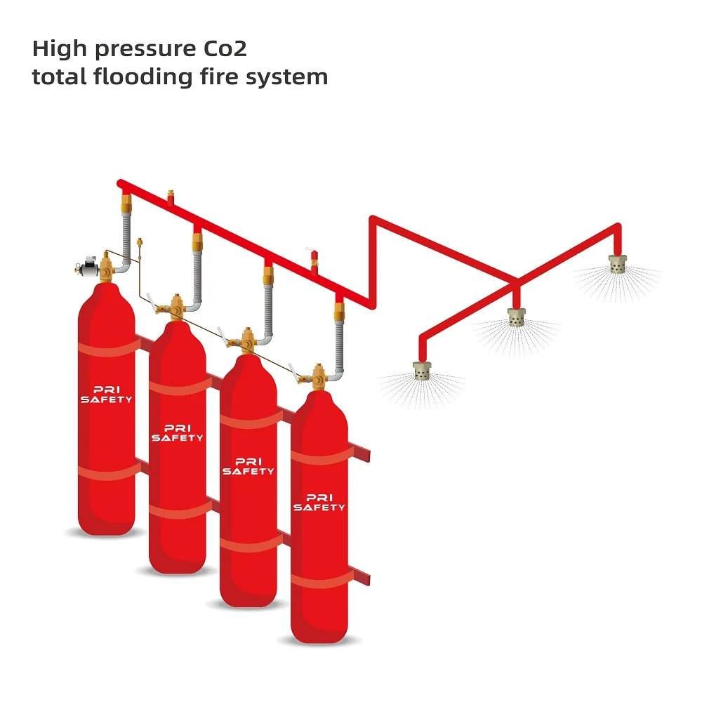 High Pressure Co2 Total Flooding Fire Suppression System