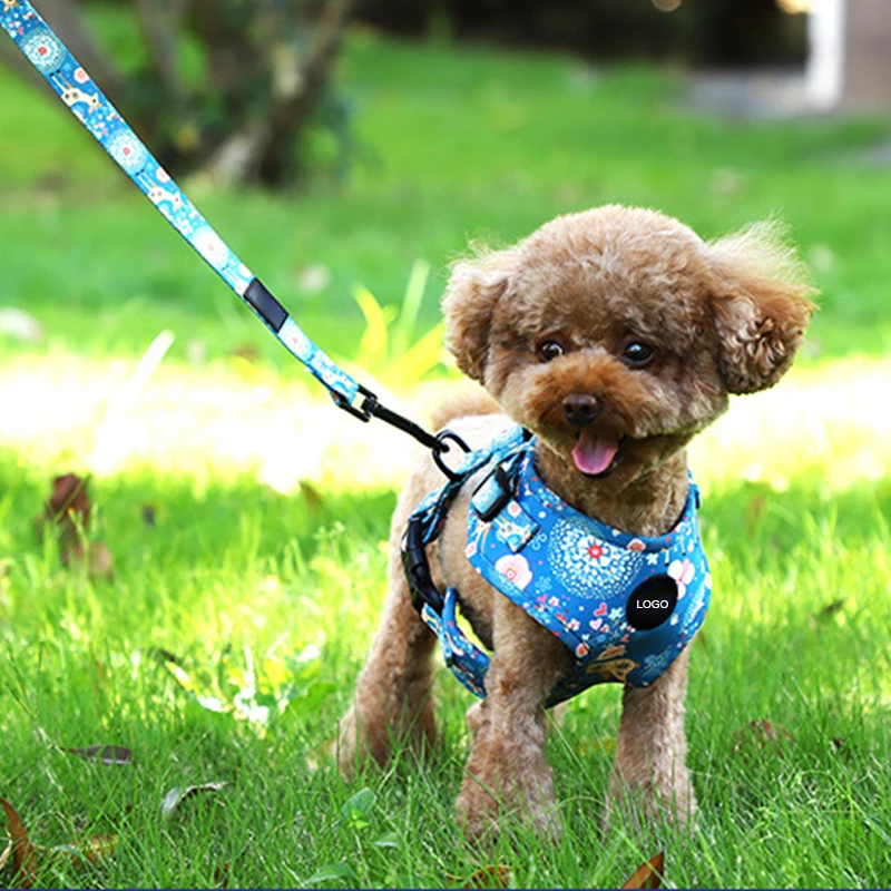 Custom Luxury Pet Dog Harness Set Adjustable Reflective