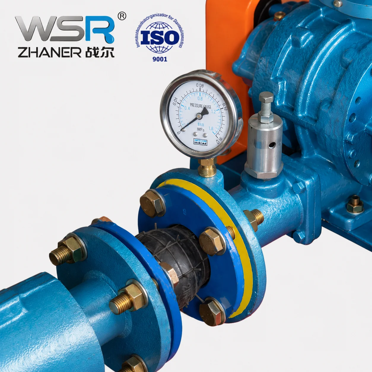 Roots Blower, 220, Electric - detail 6