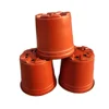 Terracotta
