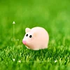 Petit cochon coloré