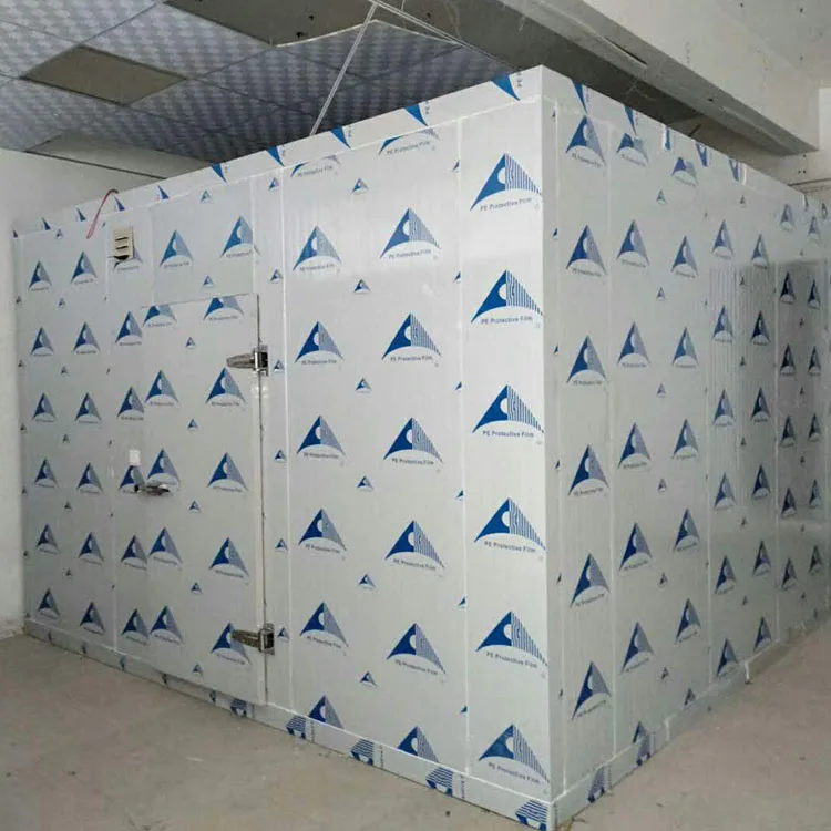 Medium Small Large Size Cold Storage Room Freezer Cool Room Freezing Refrigeration Equipment for Fish Food Meat