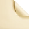 31#light yellow