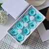 Robin's Egg Blue