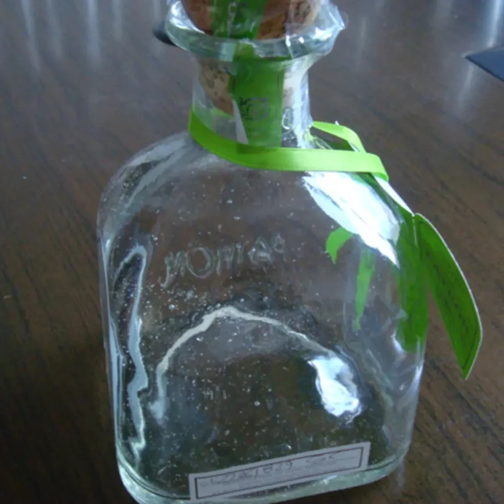 Shanghai Linlang Wholesale Customized 50ml 100ml 750ml Mini Tequila Patron Liquor Spirit Bottles