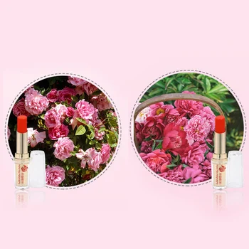 Customized Popular Rose Essential Oil Lipstick Moisturizing Repair Lipstick Lightens Lip Lines