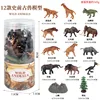 [OX-021E] 12 barrels of prehistoric ancient beasts