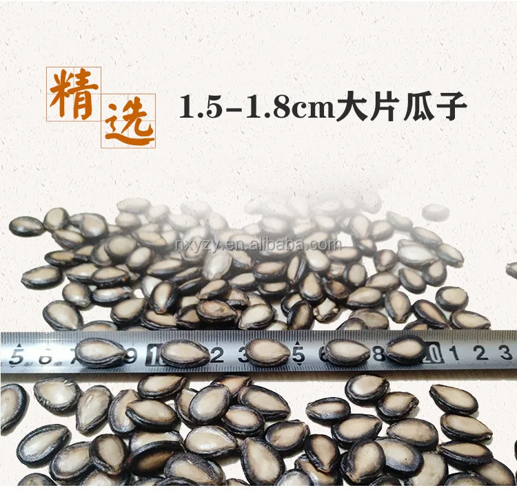 Finest Quality Watermelon Seed Factory Price Water Melon Seeds