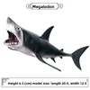 Requin Megalodon-4038