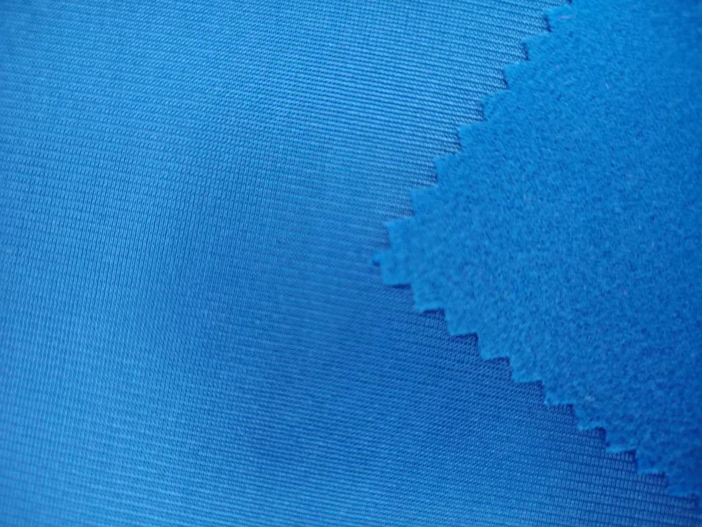 golden velvet (3).jpg