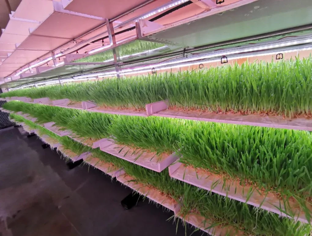 Shipping Container Farm Vertical Farming Hydroponic Farming Container ...