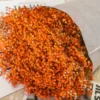 Arancione