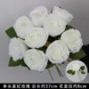 กุหลาบ/ดอกไม้เจ้าหญิงสีขาว ดอกเดี่ยว