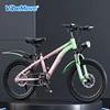 Gradiente verde - Ruota a raggi a velocità singola - Assorbimento degli urti - Confezione regalo