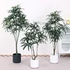 false aralia