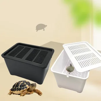 Customized Breathable Design Plastic Material Turtle Feeding Box Multifunctional Turtle Box For Turtle Or Amphibians Feeding