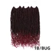 1b/bug