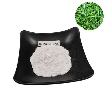 Rongsheng Hot Sale Pure Natural High Quality Organic Green Tea Drink l-Theanine Powder