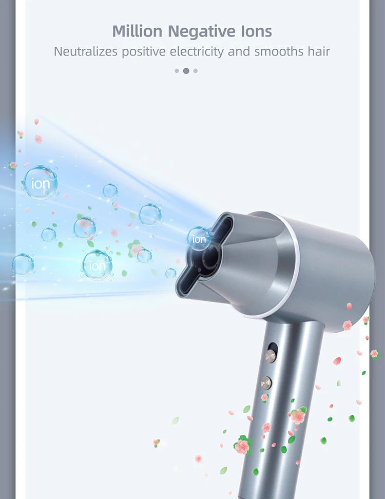 Rucha Secador De Pelo Profesional Brushless Motor Blow Dryer Bldc High