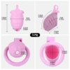 AS-034 pink cage