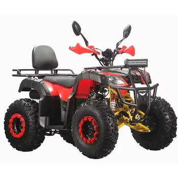 150cc 200cc 250cc 2x4 ATV quad for adults with CE