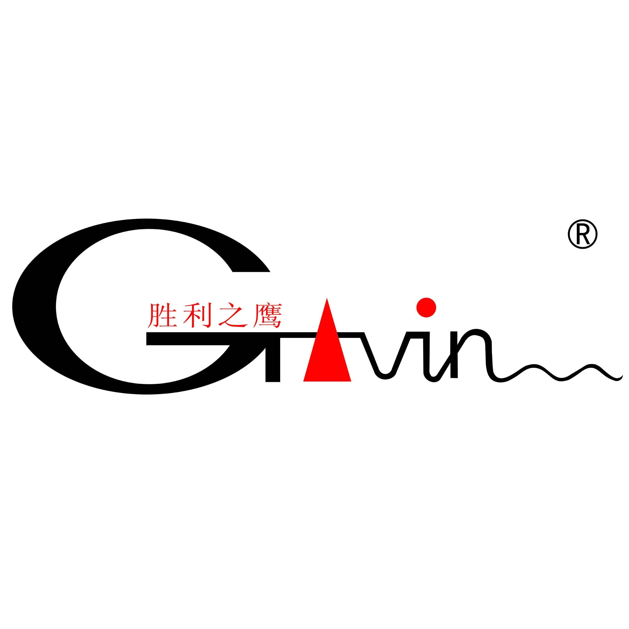 Gavin logo.jpg