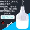 Modèle haute luminosité (plus de 260 W) (câble de chargement inclus)