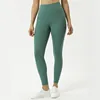 BZY154 dark green