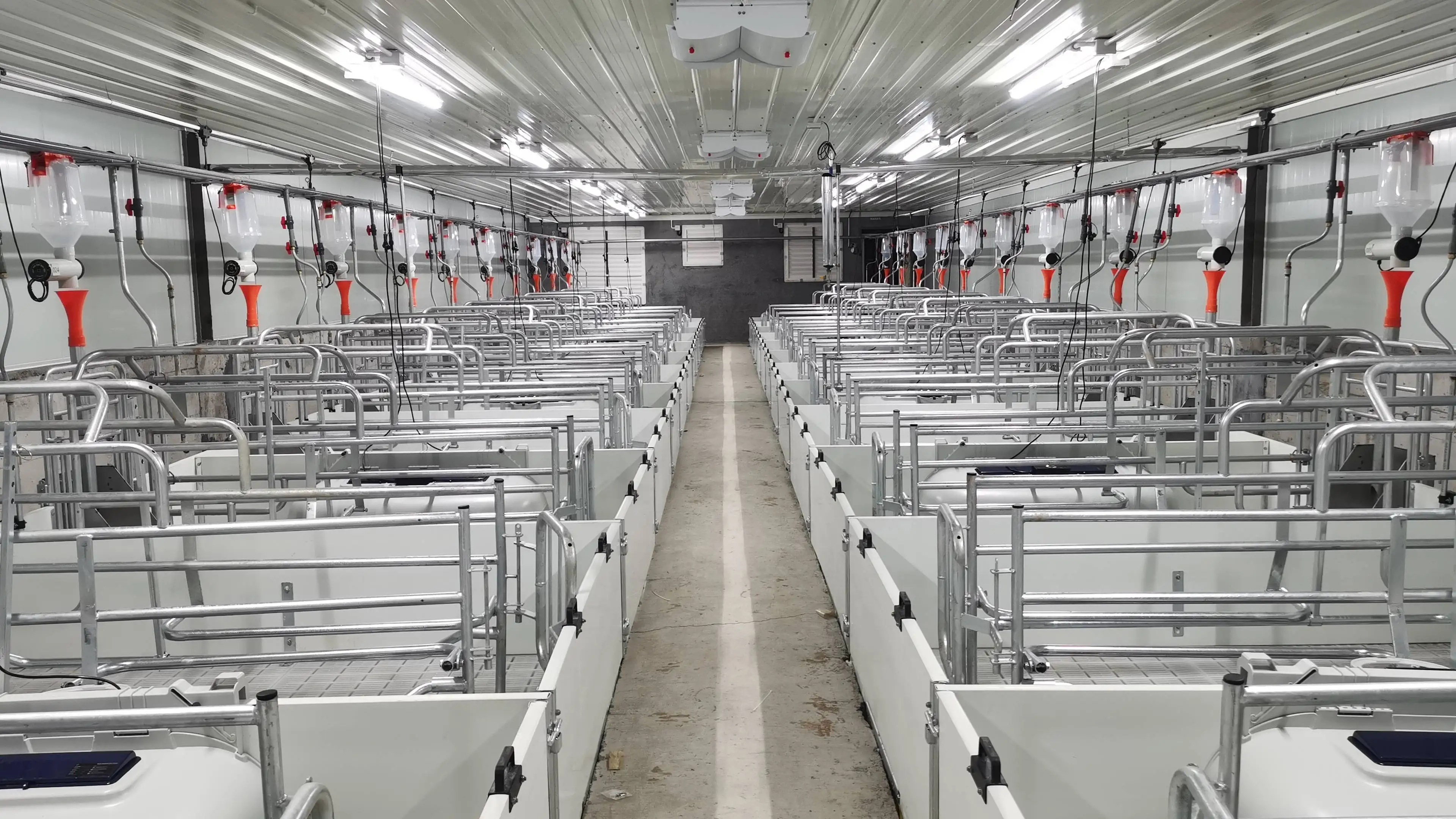 Livestock Pig Farm Poultry Equipment Nursery Ventilation Stall for ...