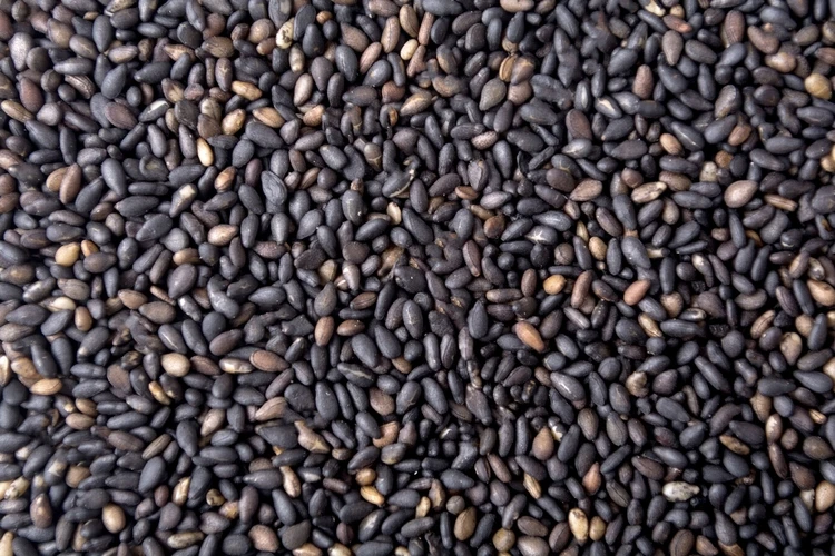 100 Natural New Crop Black Sesame Hot Sale Raw Sesame Seeds Buy