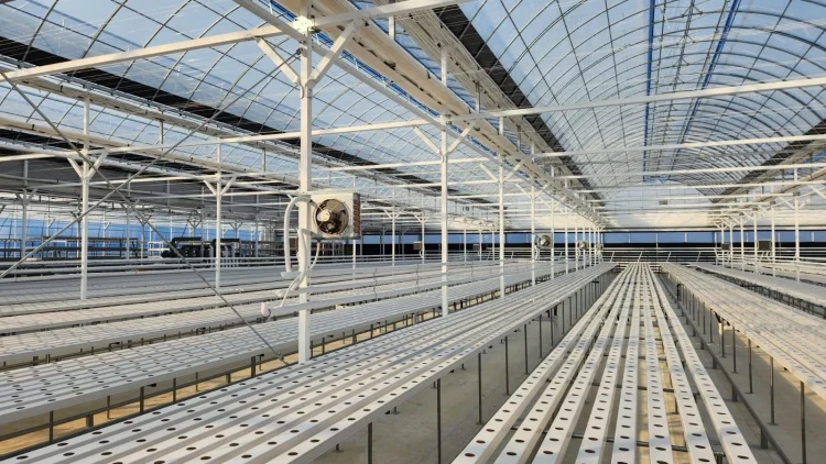 Hydroponic Planting