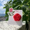 formes de roses en trois dimensions