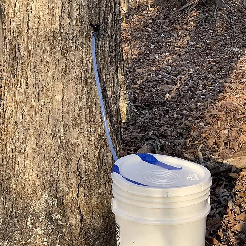 Dd1095 12pcs Sugaring Starter Dropper Tubing Collection Extractors For