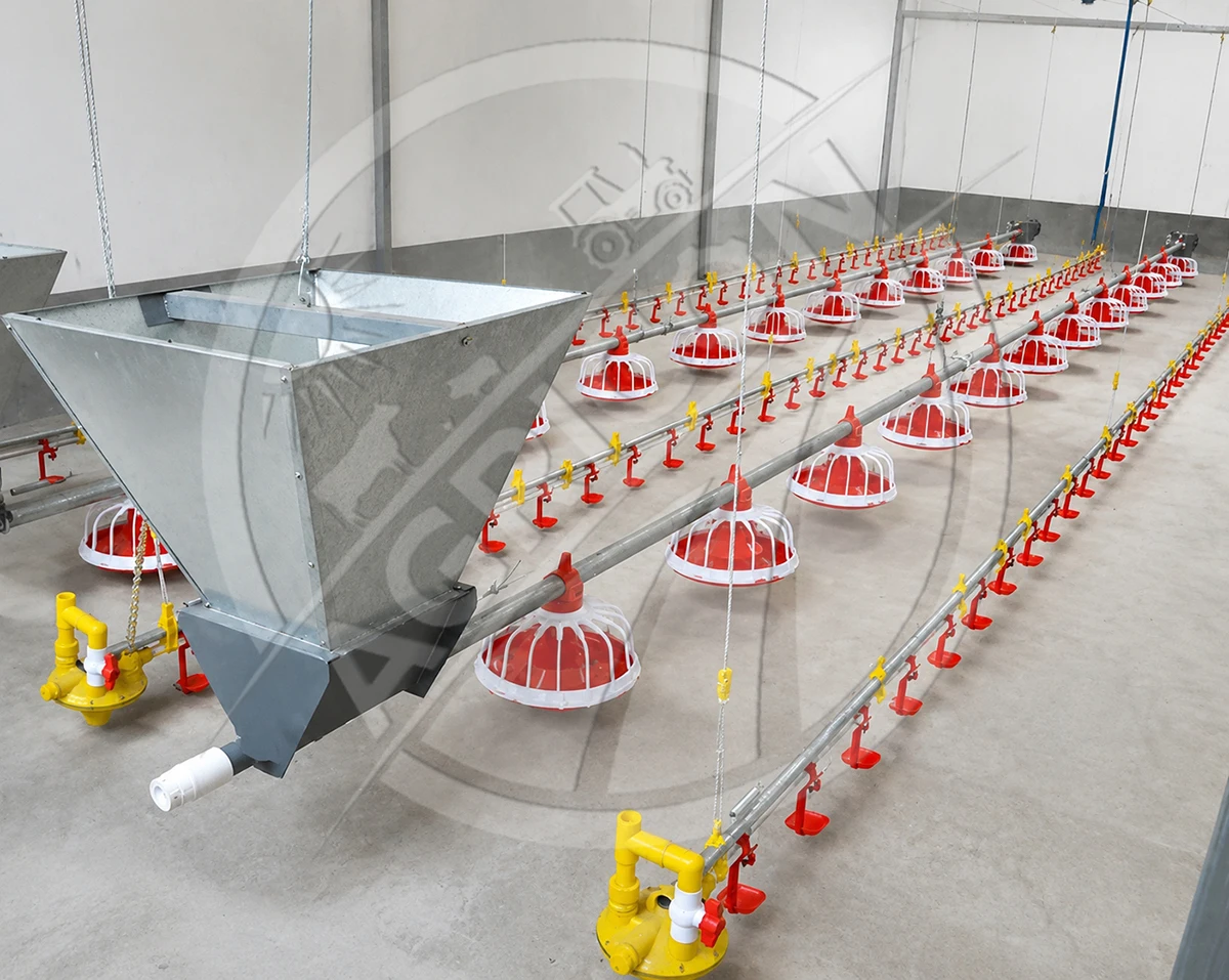 Automatic Poultry Feeding Line
