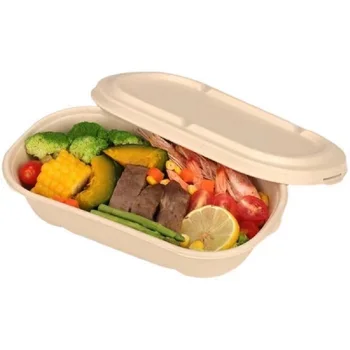 Eco-friendly Biodegradable Disposable Sugarcane Bagasse Take Out Food ...