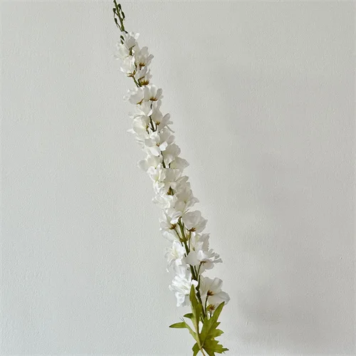 pflanztpfe transparent PRISM Durchsichtige Pflanztpfe Kaufen?  Schneller Versand!  Sybotanica