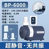 BP-6000