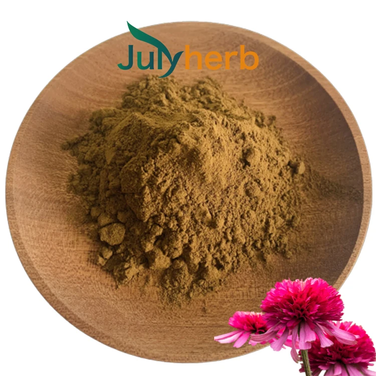 Echinacea purpurea extract powder