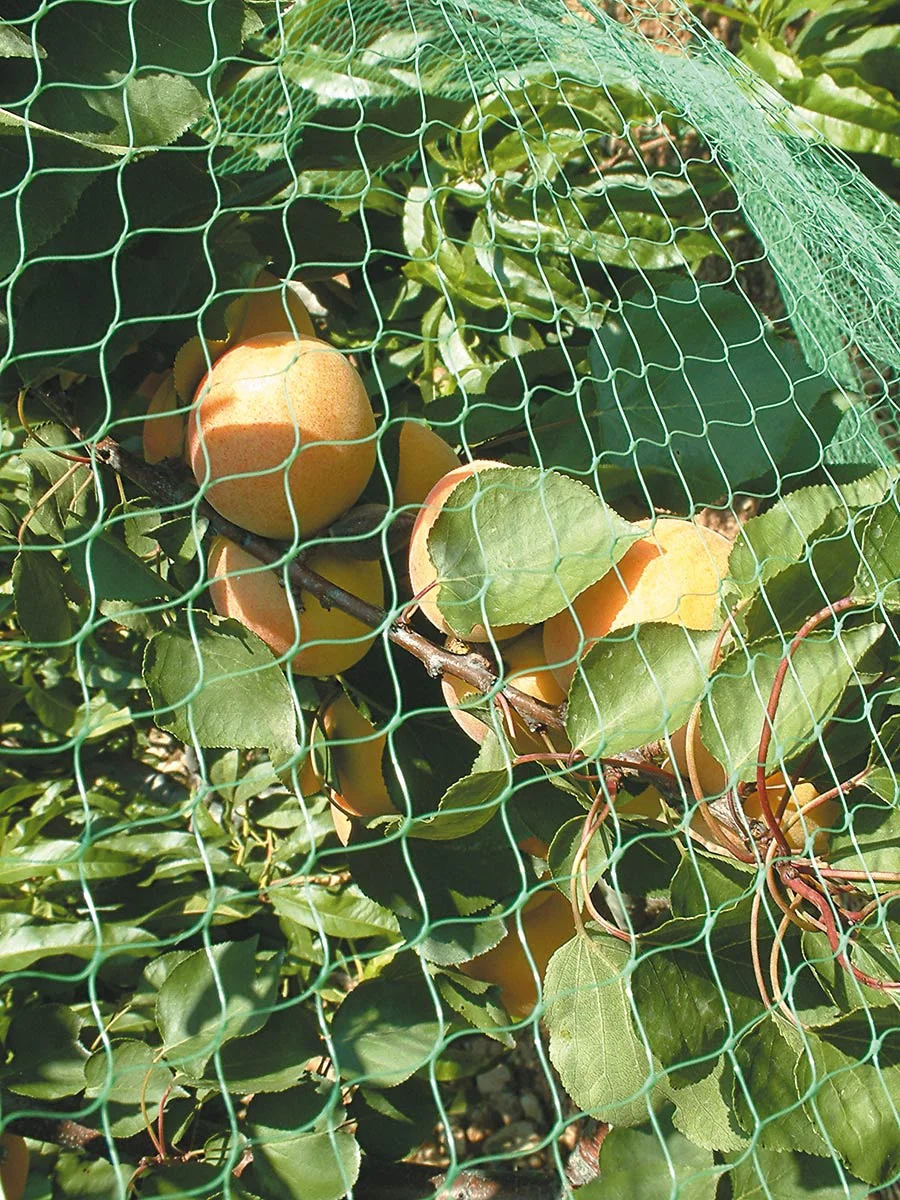 Bird Netting - Fruit Tree Orhcard Net WHITE