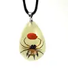 Horn spider with red bean