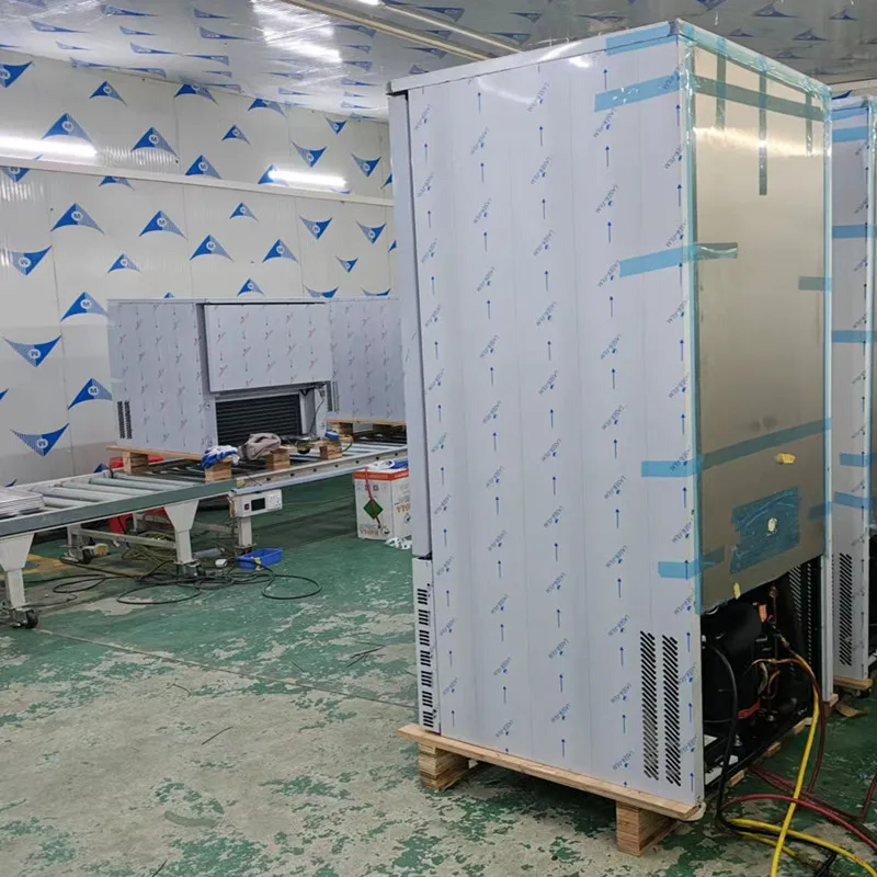 Top or Bottom Mounted Condensing Unit Blast Chiller for Home with Solid Door Quick Freezing Cabinet