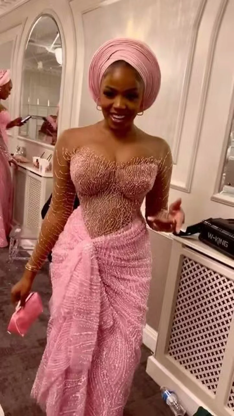birthday dress for ladies in nigeria Customized Pink Mermaid Bride Luxury Beaded Long Sleeves Evening Dress African Lace Decal Dress Blue Velvet Bodycon Dress embroidered wedding gown Cup:3