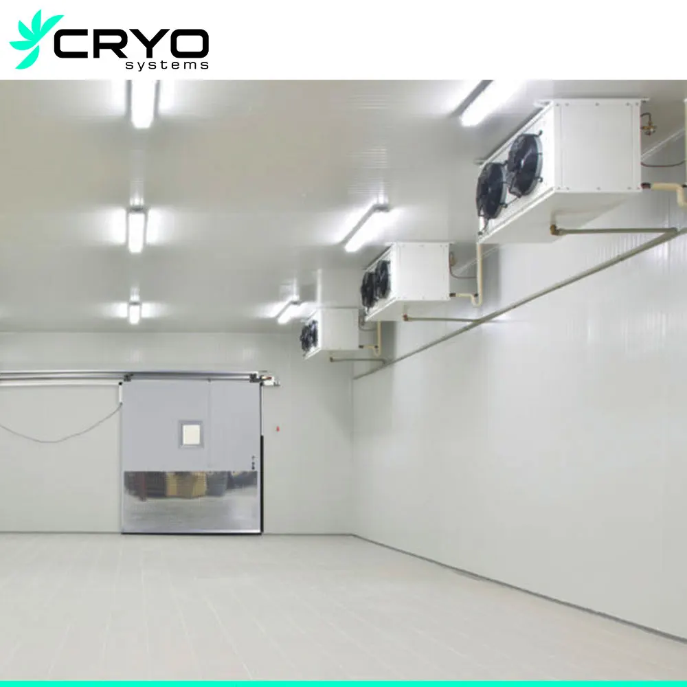 Logistics Cold Storage Freezer Cold Room Project Walk in Chiller and Cooler for Warehouse
